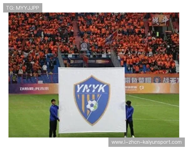 云南玉昆引援计划强劲，巴乙强援与国脚加盟保级